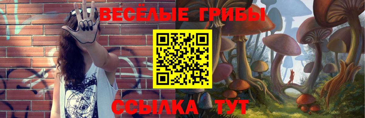 Тимашёвск  Галлюциногенные грибы ЛСД  Вход с VPN 